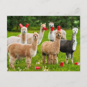 Postal De Invitación Alpacas Con Cubos Rojos