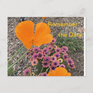 Postal De Invitación Amapolas de California