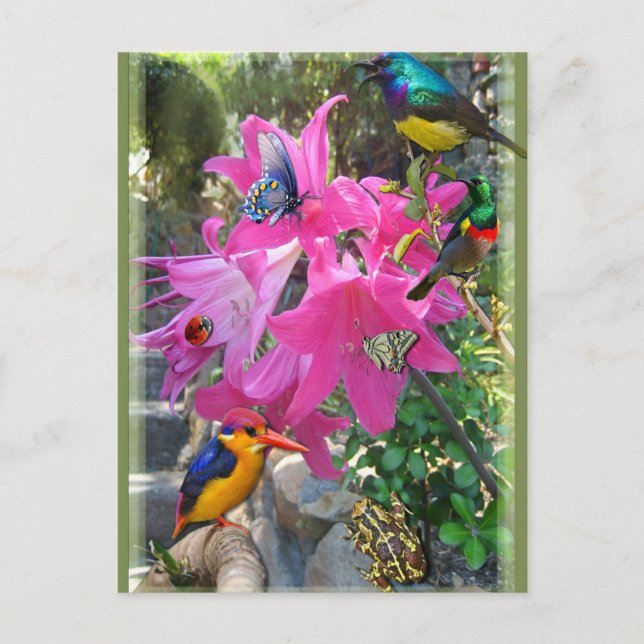 Postal De Invitación Amaryllis Fiesta (Anverso)