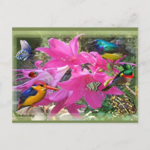 Postal De Invitación Amaryllis Fiesta