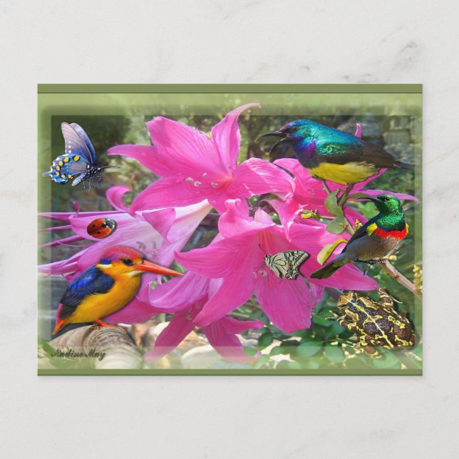 Postal De Invitación Amaryllis Fiesta (Anverso)