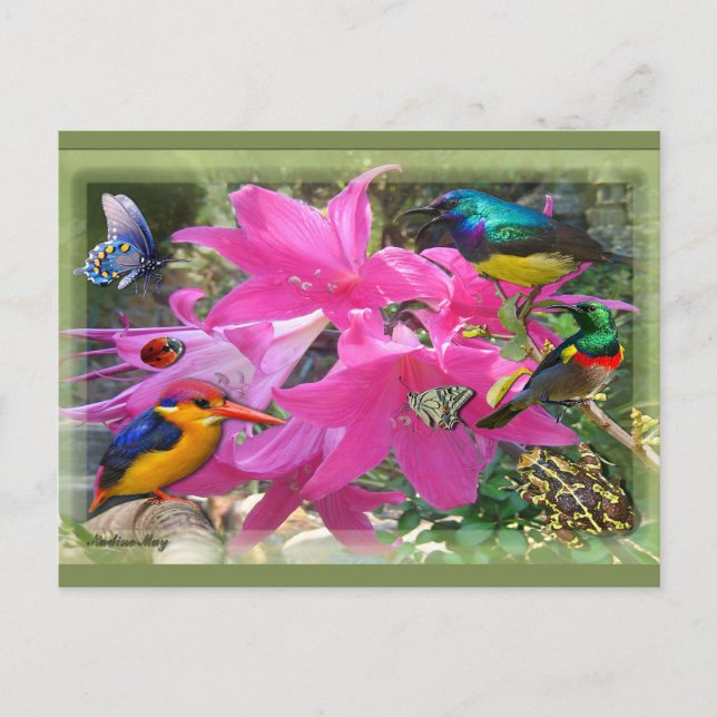 Postal De Invitación Amaryllis Fiesta (Anverso)