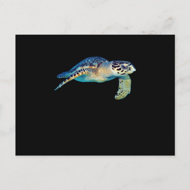 Postal De Invitación Amigable Tortuga Marítima Nadando Fotos De Arte (Anverso)
