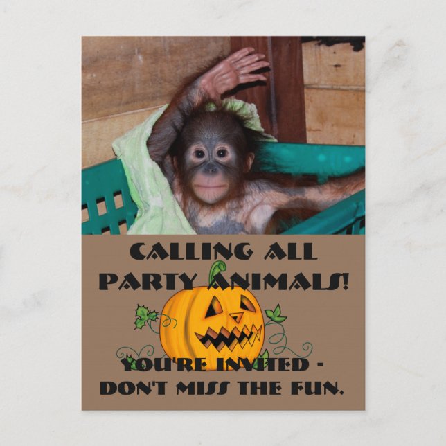 Postal De Invitación Animales de Halloween Party (Anverso)