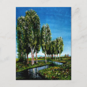 POSTAL DE INVITACIÓN ÁRBOLES DE ABEDUL EN PAISAJE DE TOSCANA