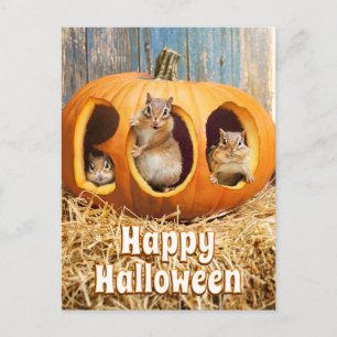 Postal De Invitación Ardillas dentro de una Jack-o-Lantern
