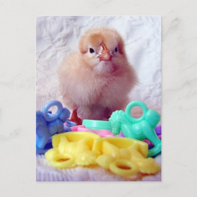 Postal De Invitación Baby Chick, Perfecto Para Baby Shower (Anverso)