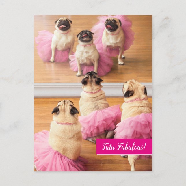 Postal De Invitación Ballerina Pugs En Tutus (Anverso)
