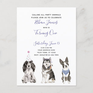 Postal De Invitación Black White Purple Script Baby Primer Fiesta de cu