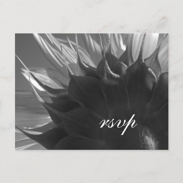 Postal De Invitación Black White Summer Garden Boda de girasol RSVP (Anverso)