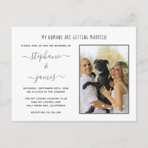 Postal De Invitación Boda de Humanos Foto de Mascota Plateada Boda