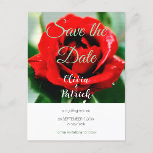 Postal De Invitación Boda de Rosa Roja Guardar la Fecha