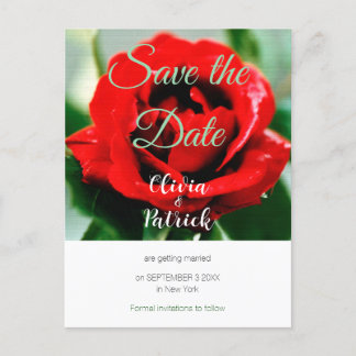 Postal De Invitación Boda de Rosa Roja Guardar la Fecha 