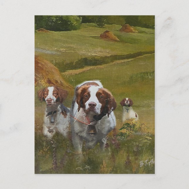 Postal De Invitación Brittany Spaniel (Anverso)