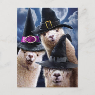 Postal De Invitación Brujas de Alpaca