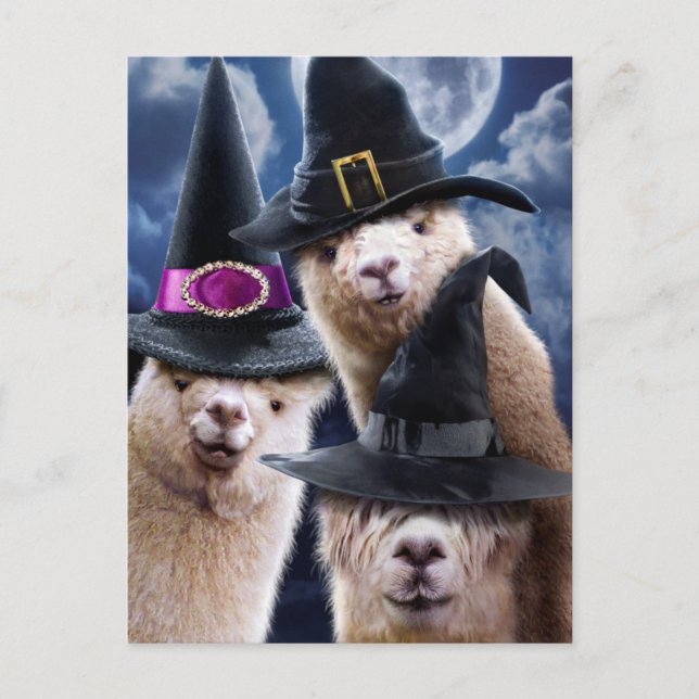 Postal De Invitación Brujas de Alpaca (Anverso)