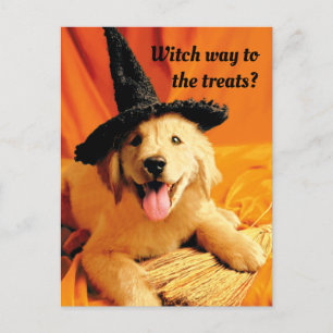 Postal De Invitación Cachorro con sombrero de bruja y escoba