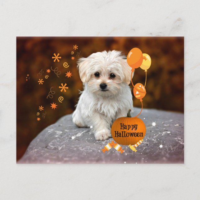 Postal De Invitación Cachorro maltés, celebración de Halloween (Anverso)