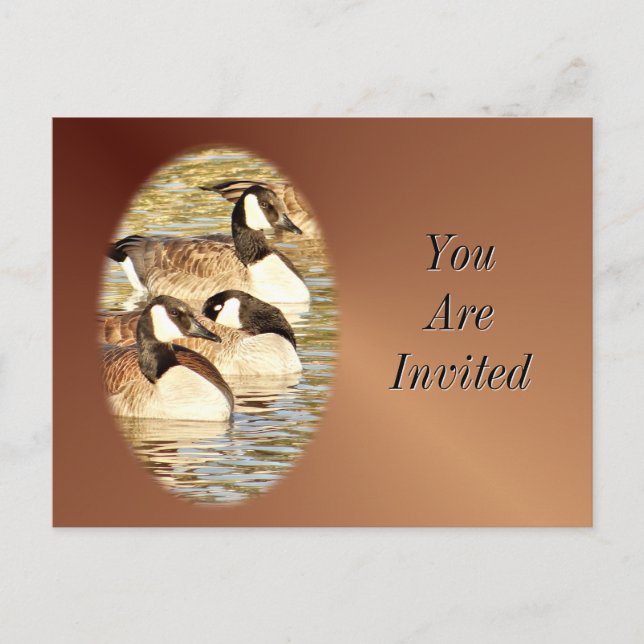 Postal De Invitación Canadiense Geese Postcard-Invitation-personalizar (Anverso)