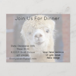 Postal De Invitación Cara de alpaca linda       