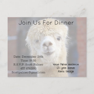 Postal De Invitación Cara de alpaca linda