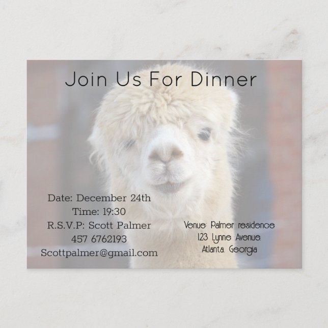Postal De Invitación Cara de alpaca linda        (Anverso)