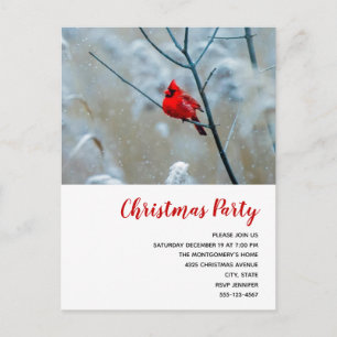 Postal De Invitación Cardenal rojo en Navidades de fotografía de natura