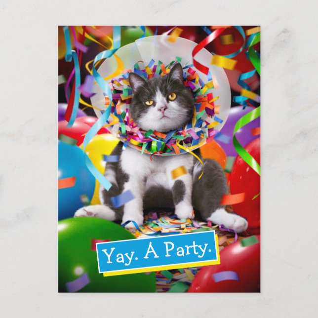 Postal De Invitación Cat In Fiesta Cone (Anverso)