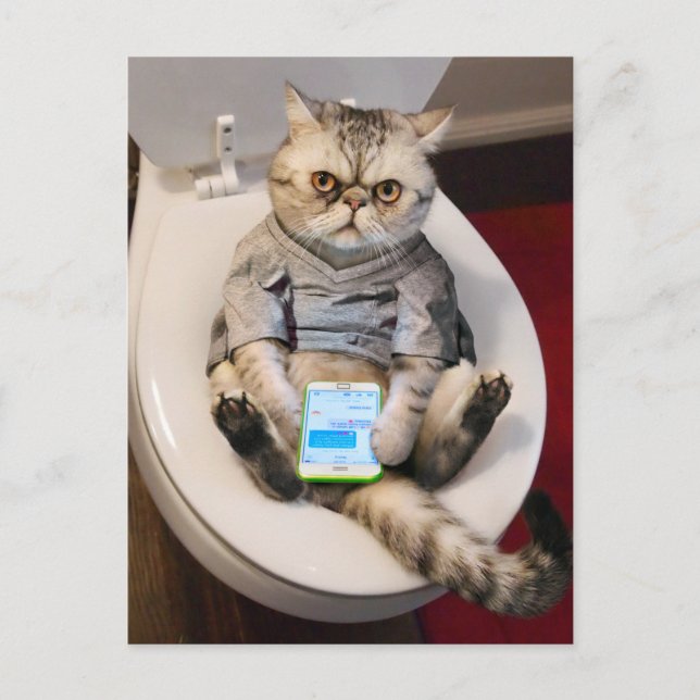 Postal De Invitación Cat on Toilet (Anverso)