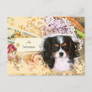 Postal De Invitación Cavalier King Charles Spaniel