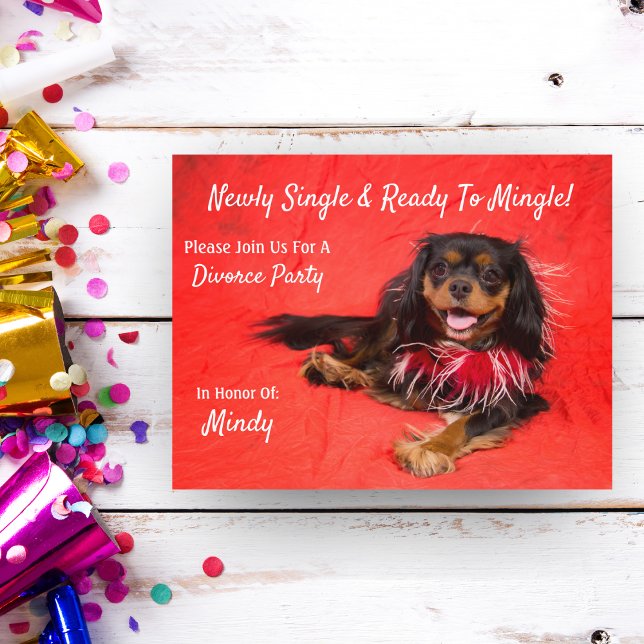 Postal De Invitación Cavalier King Charles Spaniel Fiesta del divorcio (Subido por el creador)