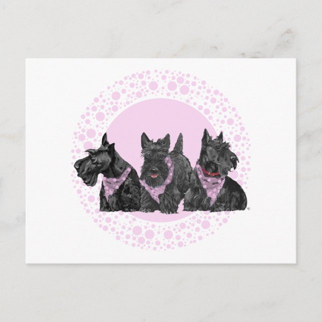 Postal De Invitación Celebración Scotties en Rosa (Anverso)