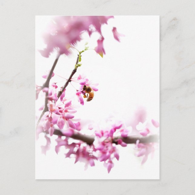 Postal De Invitación Cercis y abeja melífera en primavera (Anverso)