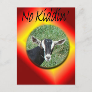 Postal De Invitación Chester Postcard-personalizar en cualquier ocasión