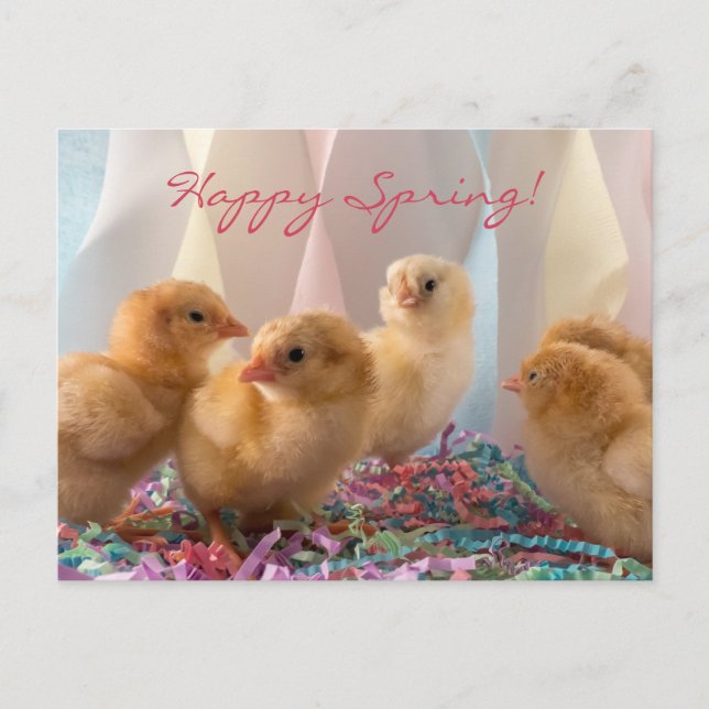 Postal De Invitación Chicas fiestas Rasgos de pollo para bebés amarillo (Anverso)