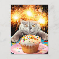 Cupcake de gato con bengala