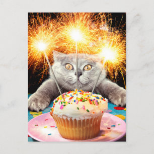 Postal De Invitación Cupcake de gato con bengala