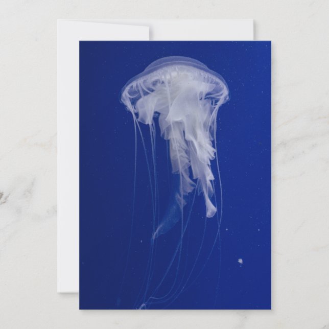 Postal de invitación de 5" x 7" (Anverso)