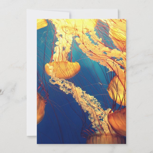 Postal de invitación de 5" x 7" (Anverso)