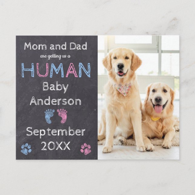 Postal de Invitación de embarazo de perro (Anverso)