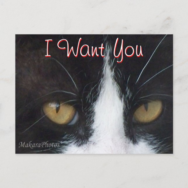 Postal de invitación de gato -personalizar en cual (Anverso)