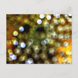 Postal De Invitación Diseño de oro