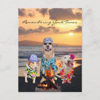 Postal De Invitación Divertida fiesta de graduación de perros en la pos