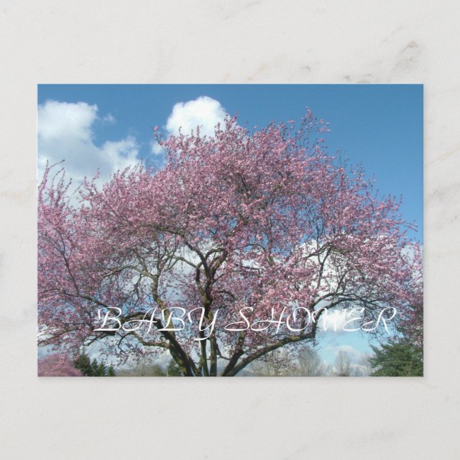 Postal De Invitación ducha de bebé, árbol floreciente de cerezo de prim (Anverso)