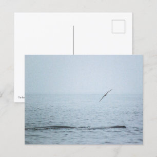 Postal De Invitación El pájaro que despertó a las ballenas