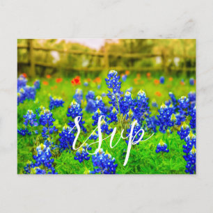Postal De Invitación Elegante Bluebonnets Primavera Boda RSVP Gabinete
