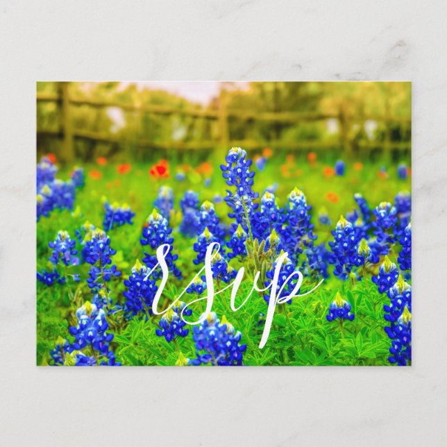 Postal De Invitación Elegante Bluebonnets Primavera Boda RSVP Gabinete (Anverso)