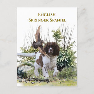 Postal De Invitación English Springer Spaniel