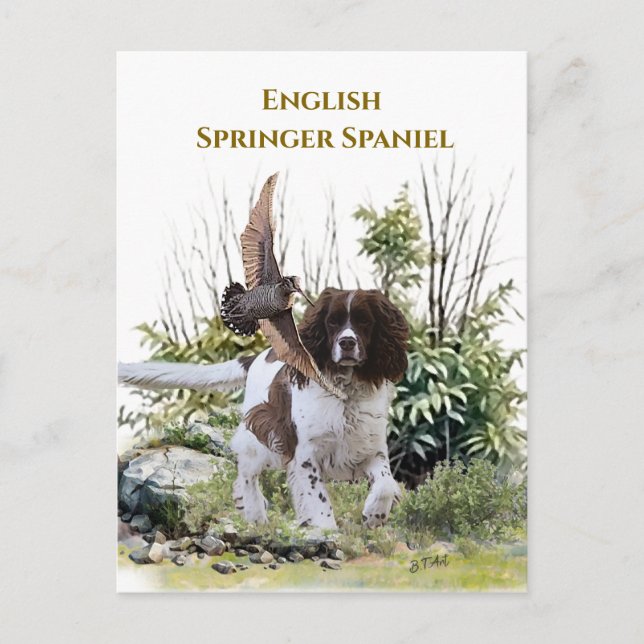 Postal De Invitación English Springer Spaniel (Anverso)