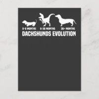 Evoluciones de Dachshund